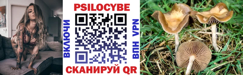 Псилоцибиновые грибы ЛСД hydra ссылка Наволоки
